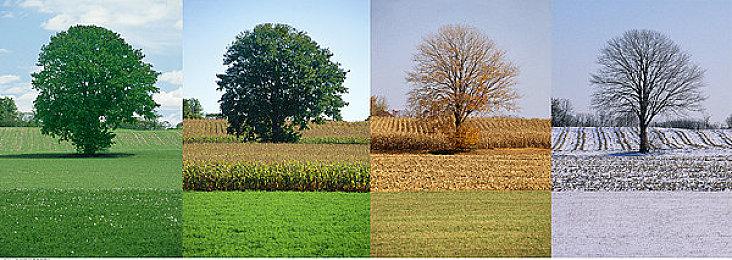 《原子之心2》将提供更大的世界 拥有更加动态的元素