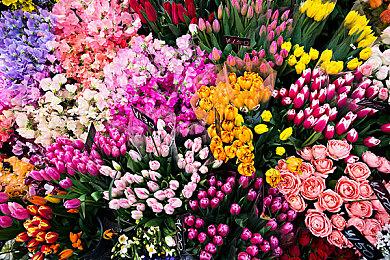 桌子彻底没了 E3或将在2024年和2025年继续停办